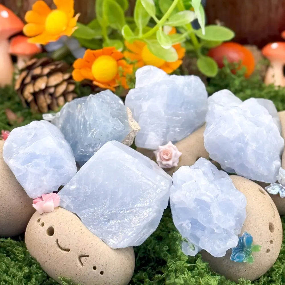 Blue Kyanite Crystal Pet for Cooling the Mind Shinepurity