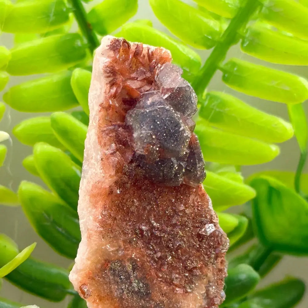 Energy Guardian Pyrite & Calcite Crystal Pet Shinepurity