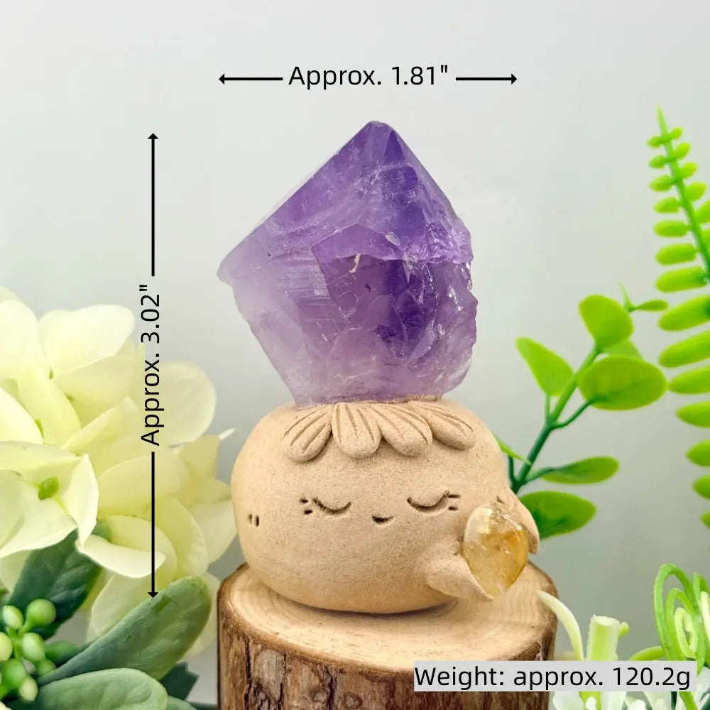Amethyst Crystal Pet A Quiet Moment of Relaxation Shinepurity