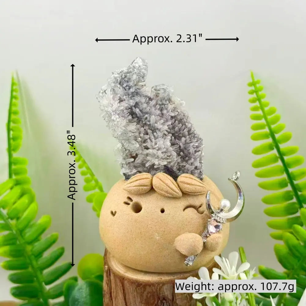 A Quiet Chrysanthemum Crystal Pet Shinepurity