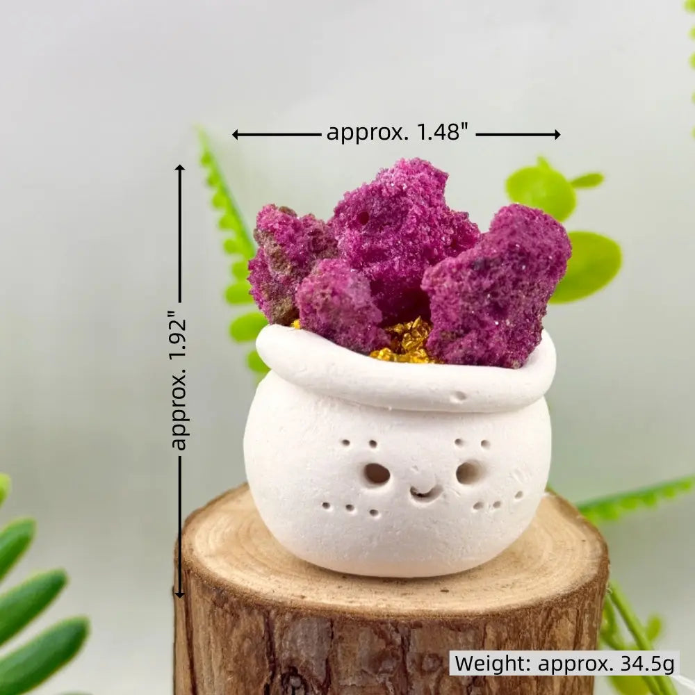 A Little Softness for Your Desk Crystal Pet Planter Shinepurity