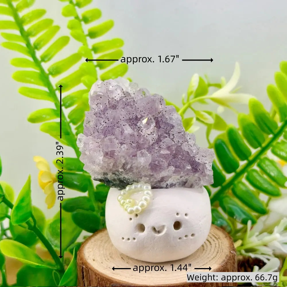 Mood-Soothing Amethyst Crystal Pet Shinepurity