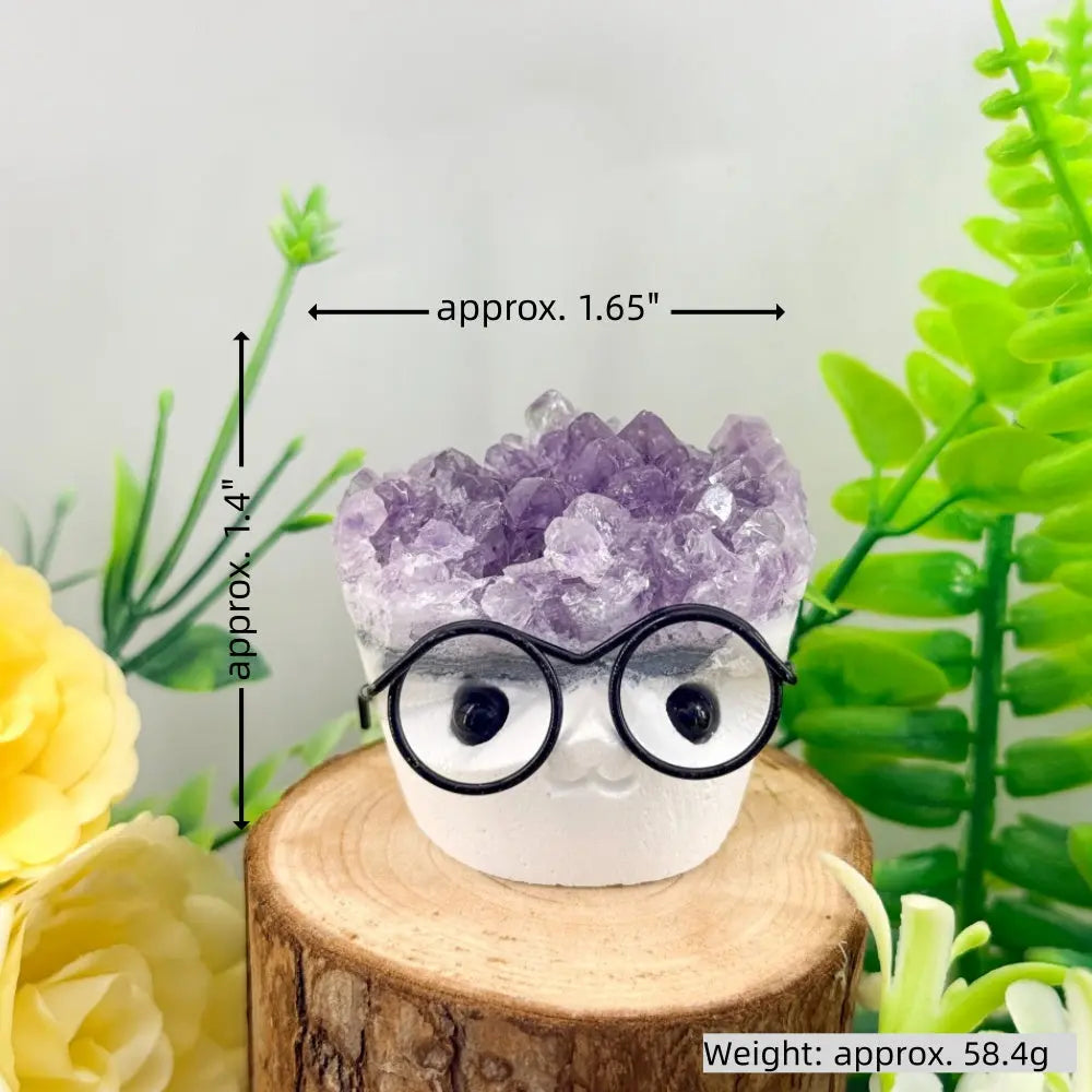 Adorable Glasses Kid Amethyst Crystal Pet Shinepurity
