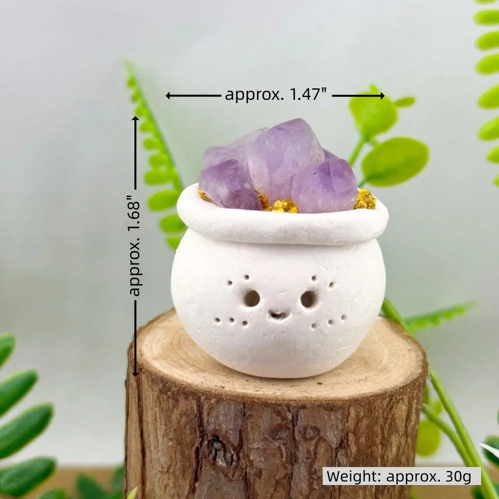 A Little Softness for Your Desk Crystal Pet Planter Shinepurity