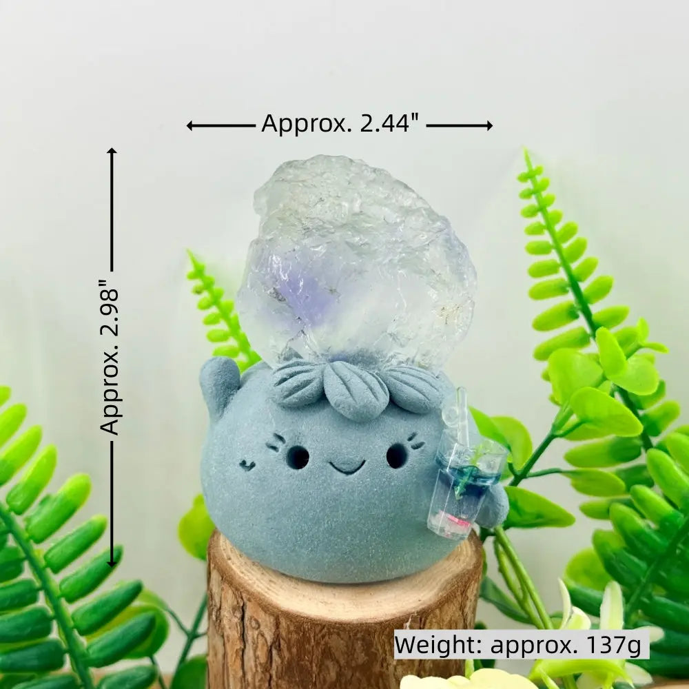 Fluorite Crystal Pet – A Clear and Delicate Accen Shinepurity