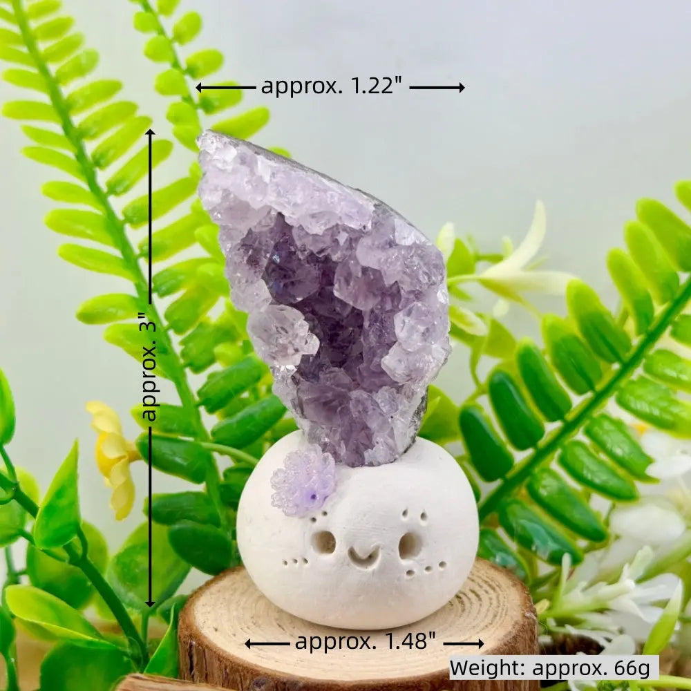Mood-Soothing Amethyst Crystal Pet Shinepurity