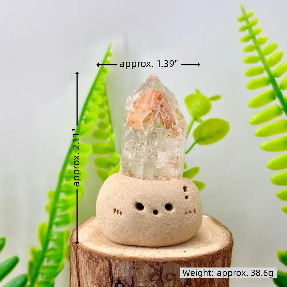 Skeleton Quartz × Epidote Quartz Healing Crystal Pet Shinepurity