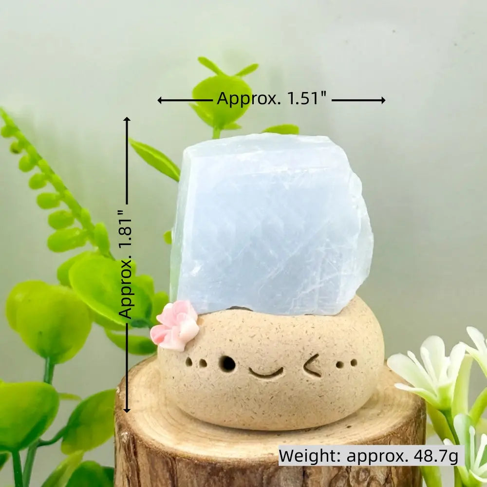 Blue Kyanite Crystal Pet for Cooling the Mind Shinepurity