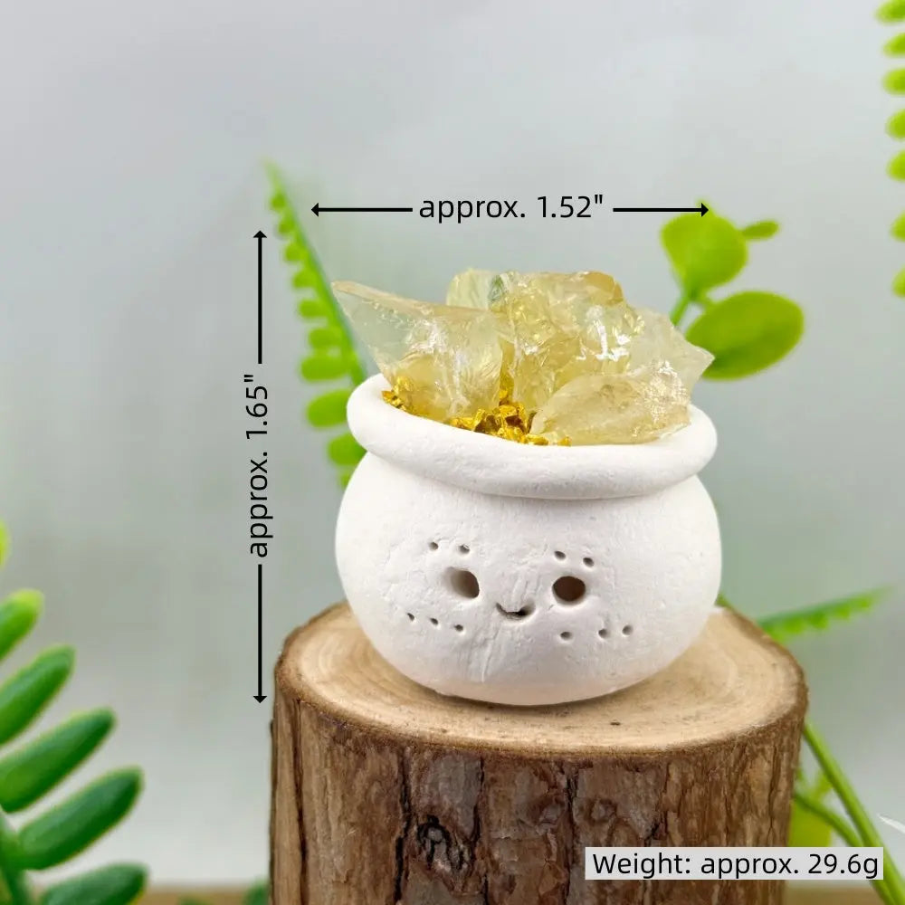 A Little Softness for Your Desk Crystal Pet Planter Shinepurity