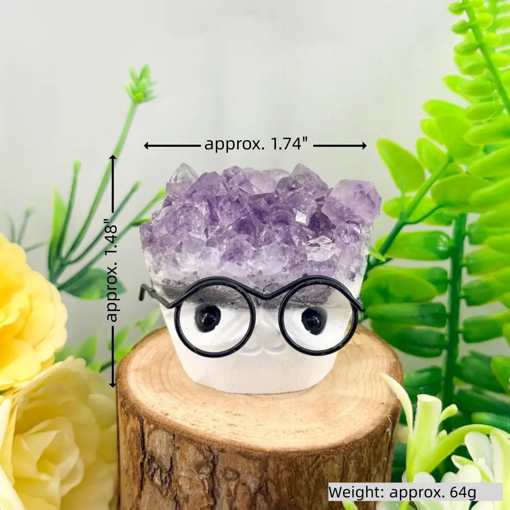 Adorable Glasses Kid Amethyst Crystal Pet Shinepurity