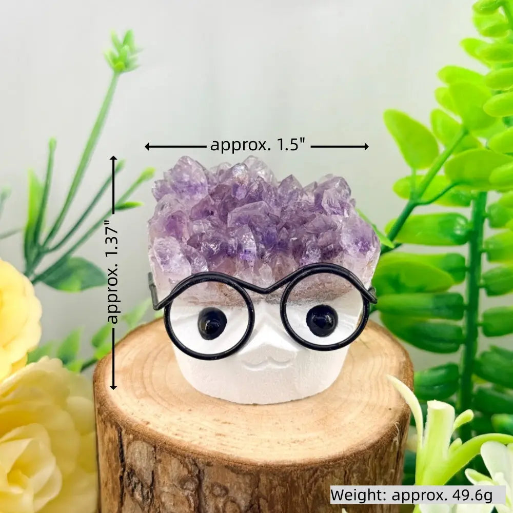 Adorable Glasses Kid Amethyst Crystal Pet Shinepurity
