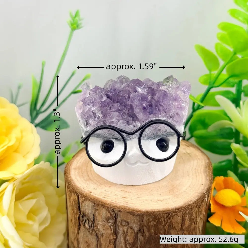 Adorable Glasses Kid Amethyst Crystal Pet Shinepurity