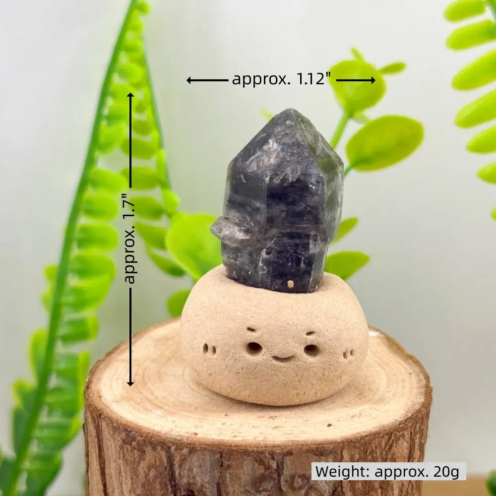 Calm Corner Crystal Pet Shinepurity
