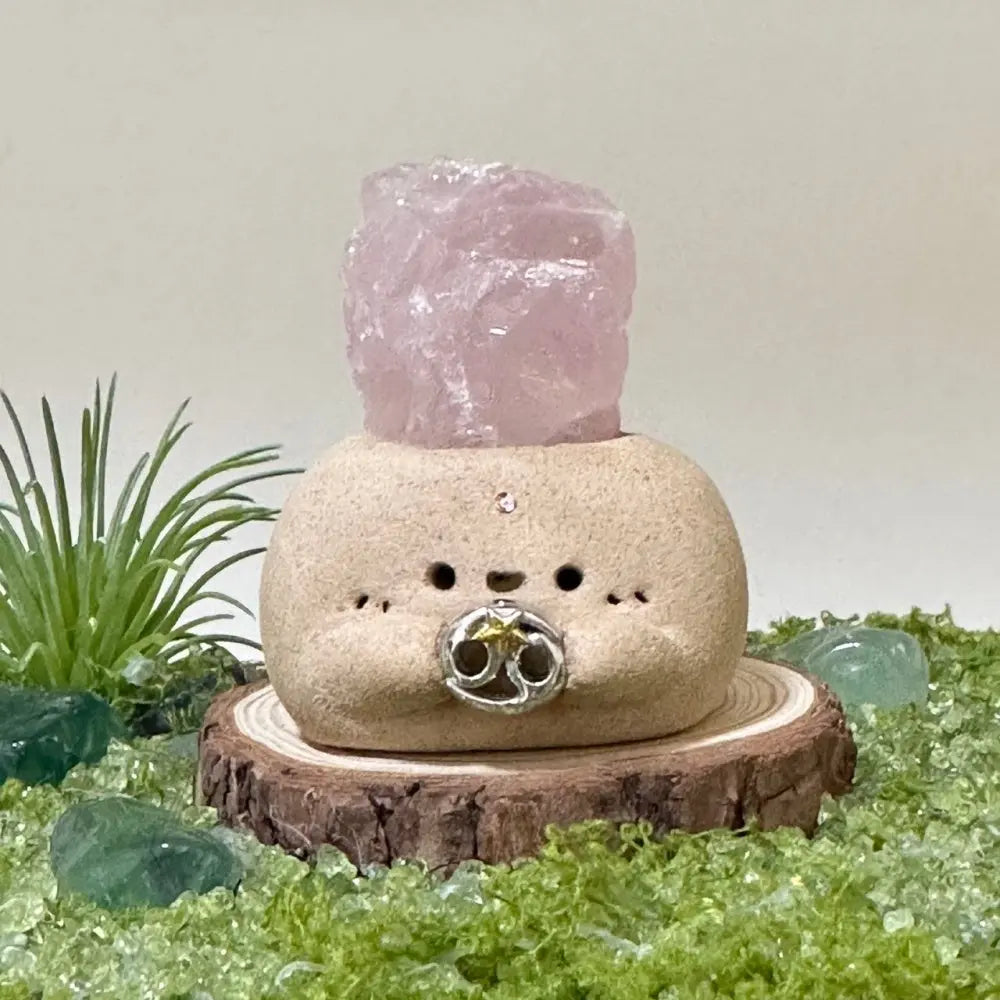 Customize | 12 Zodiac Crystal Buddies for Daily Companionship & Comfort Shinepurity