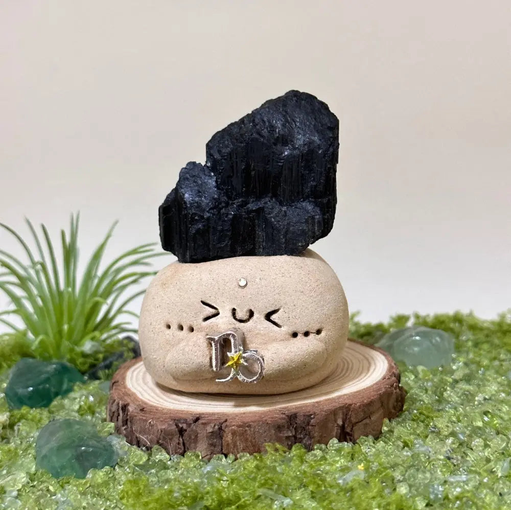 Customize | 12 Zodiac Crystal Buddies for Daily Companionship & Comfort Shinepurity