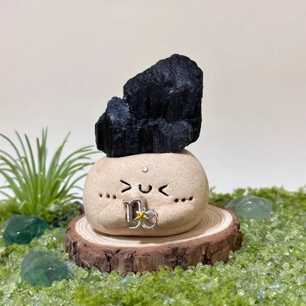 Customize | 12 Zodiac Crystal Buddies for Daily Companionship & Comfort Shinepurity