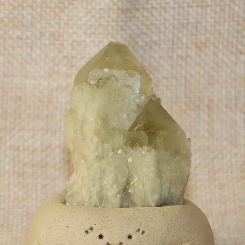 Golden Pineapple Quartz Crystal Pet for Abundance and Clarity Shinepurity