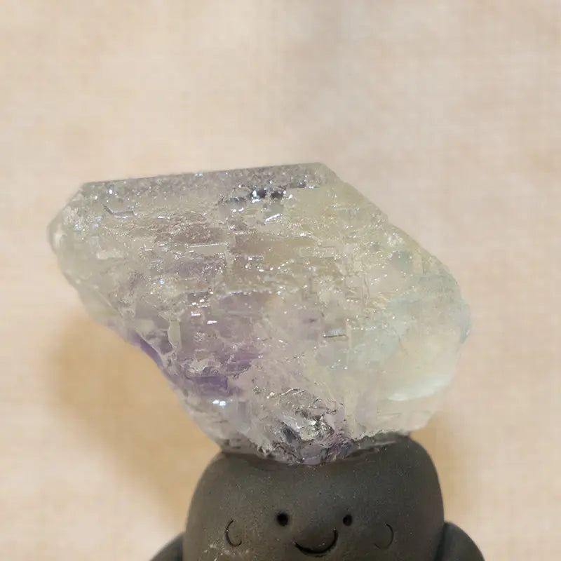 Guardian of Your Aura – Xianghualing Fluorite Energy Crystal Pet Shinepurity