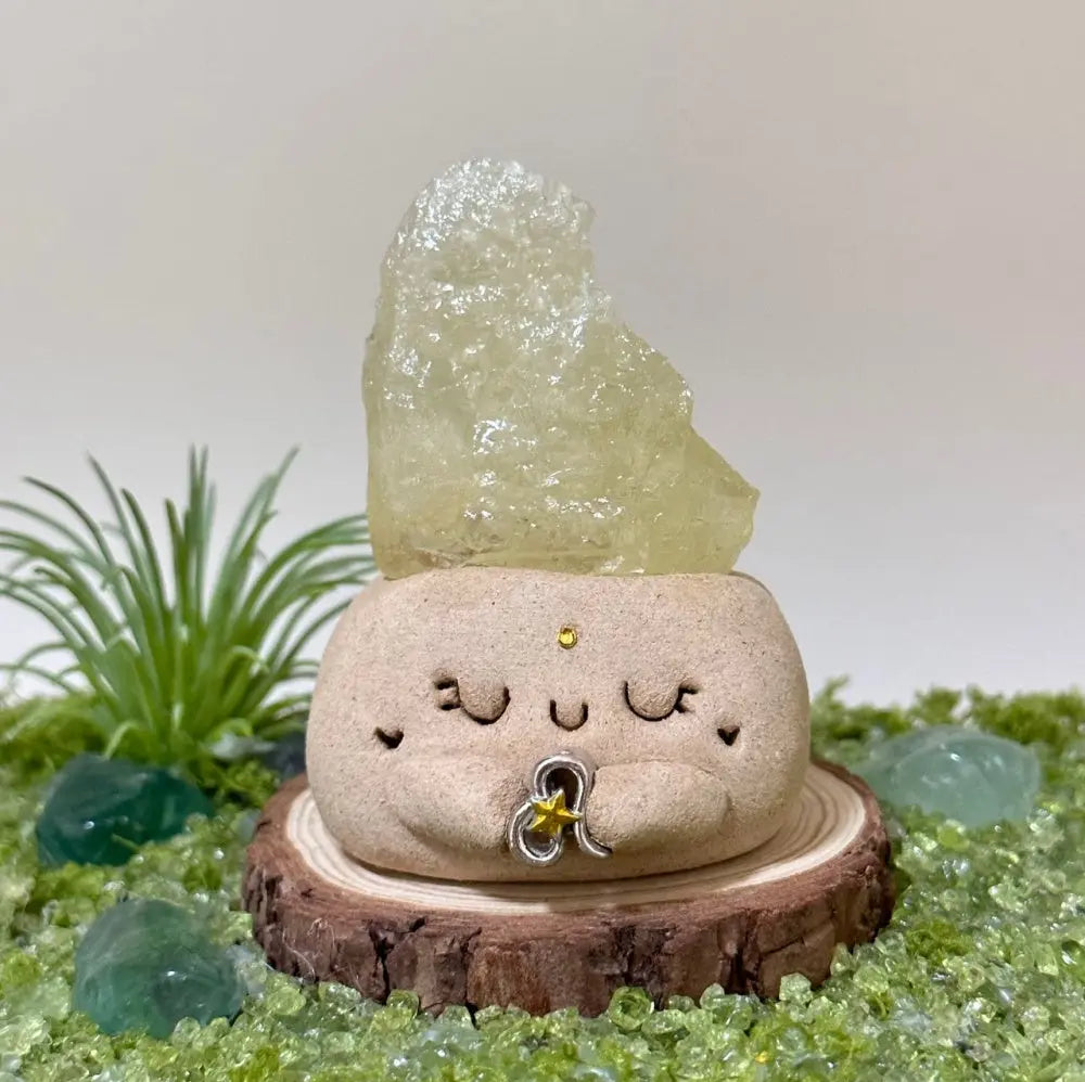 Customize | 12 Zodiac Crystal Buddies for Daily Companionship & Comfort Shinepurity