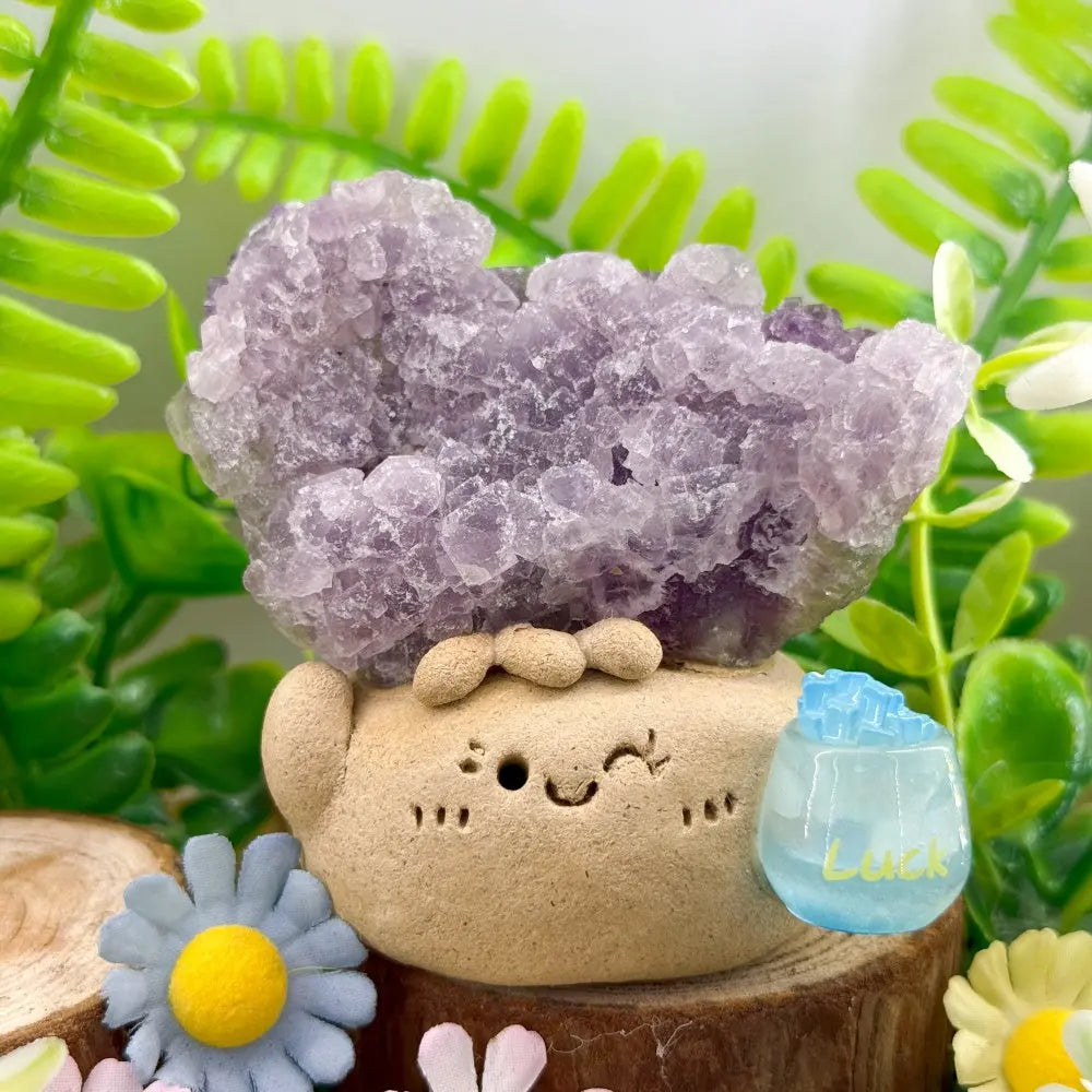 Luck & Clarity Purple-Edged Sugar Fluorite Crystal Pet Shinepurity