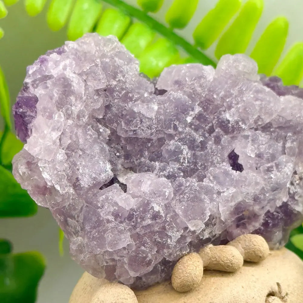 Luck & Clarity Purple-Edged Sugar Fluorite Crystal Pet Shinepurity