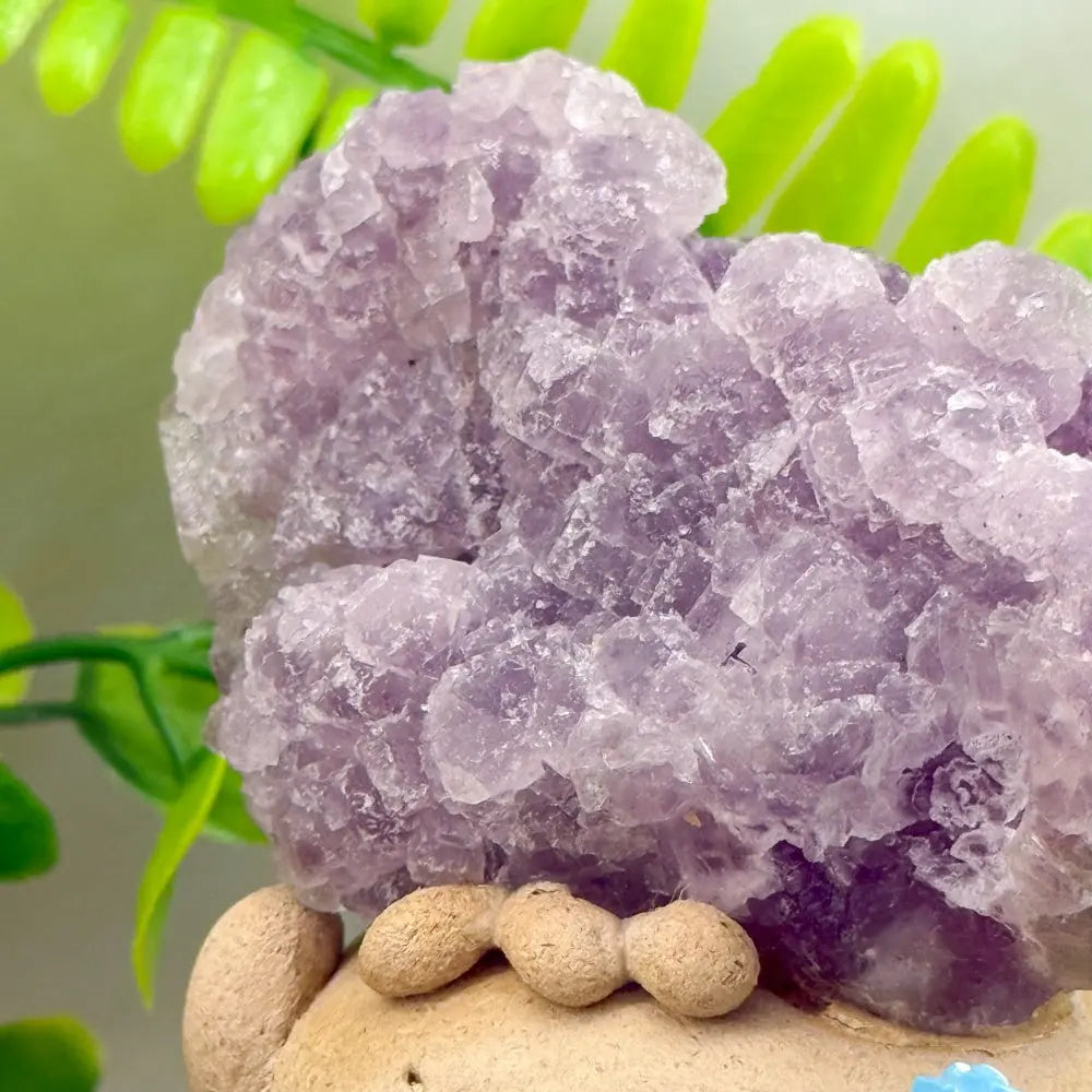 Luck & Clarity Purple-Edged Sugar Fluorite Crystal Pet Shinepurity