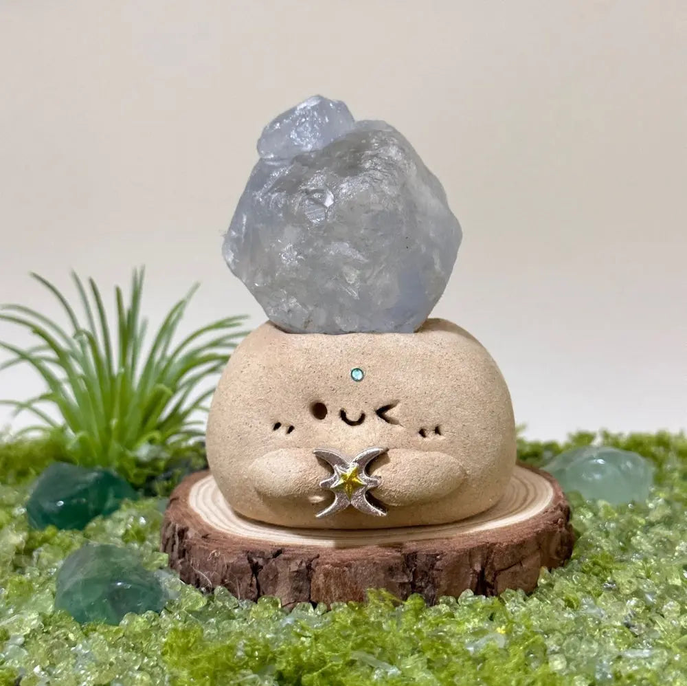 Customize | 12 Zodiac Crystal Buddies for Daily Companionship & Comfort Shinepurity