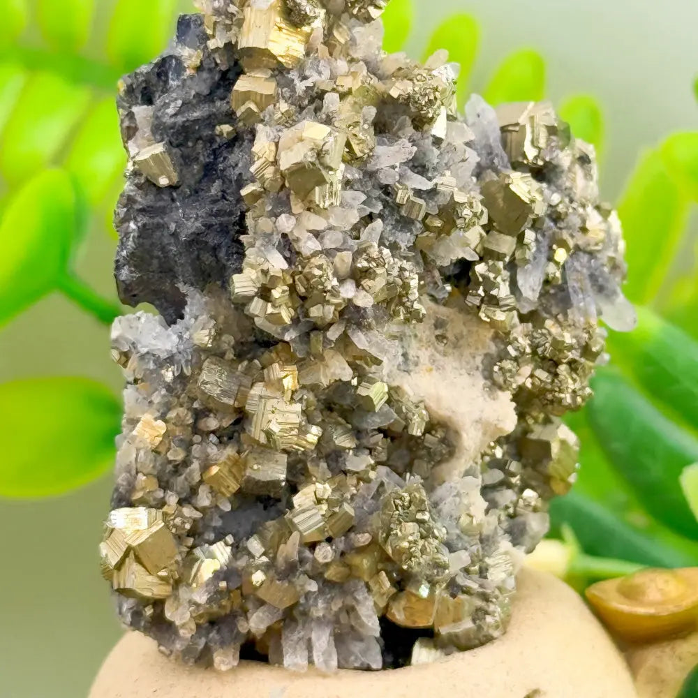Pyrite Crystal Pet Full of Prosperity Energy Shinepurity