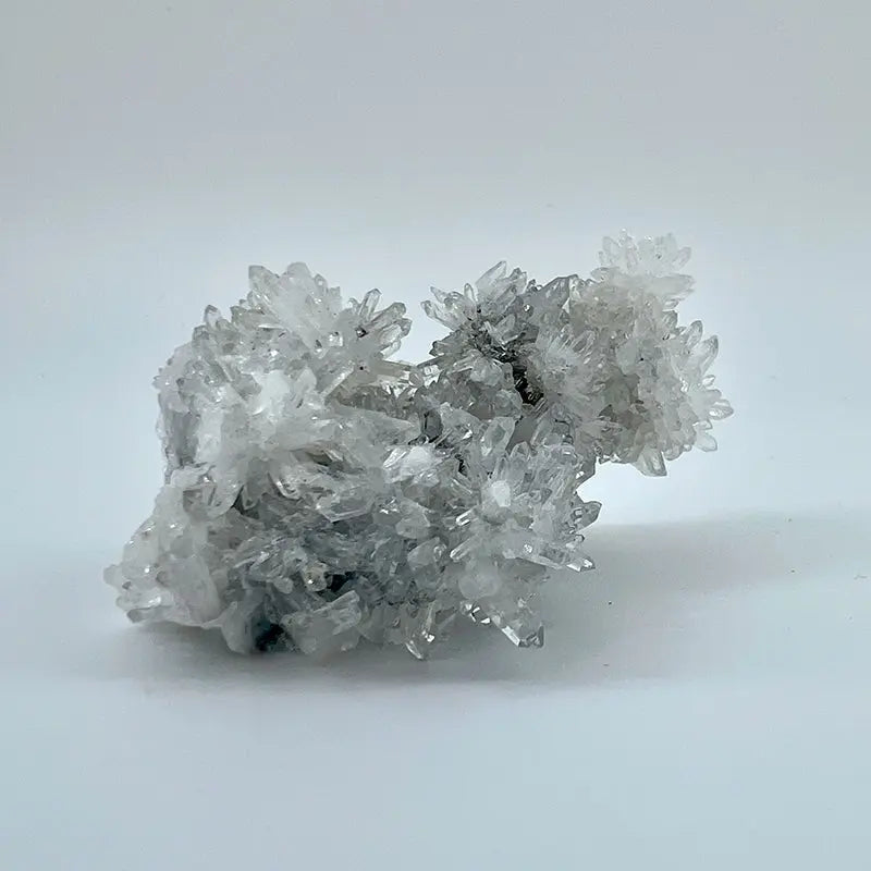 Raw Natural Chrysanthemum Stone Crystal Shinepurity