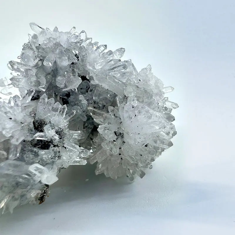 Raw Natural Chrysanthemum Stone Crystal Shinepurity