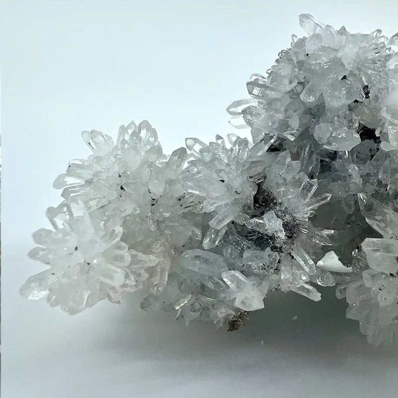 Raw Natural Chrysanthemum Stone Crystal Shinepurity