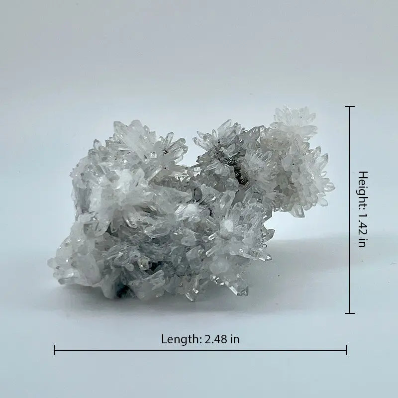 Raw Natural Chrysanthemum Stone Crystal Shinepurity