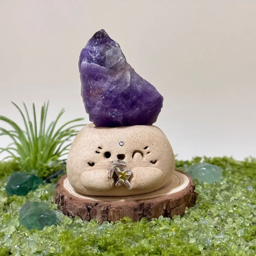 Customize | 12 Zodiac Crystal Buddies for Daily Companionship & Comfort Shinepurity