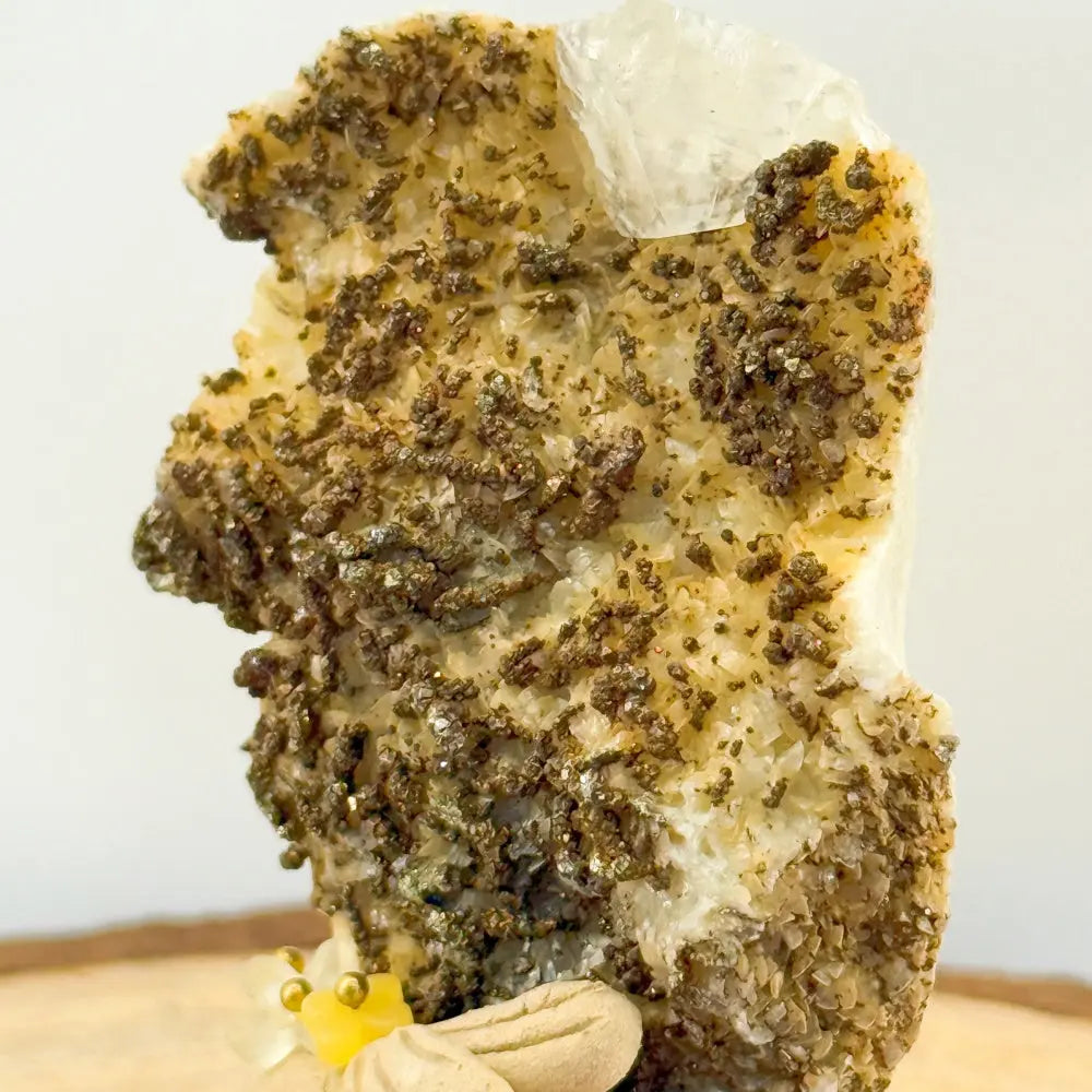 Silent Guardian of the Earth Calcite & Pyrite Crystal Pet Shinepurity