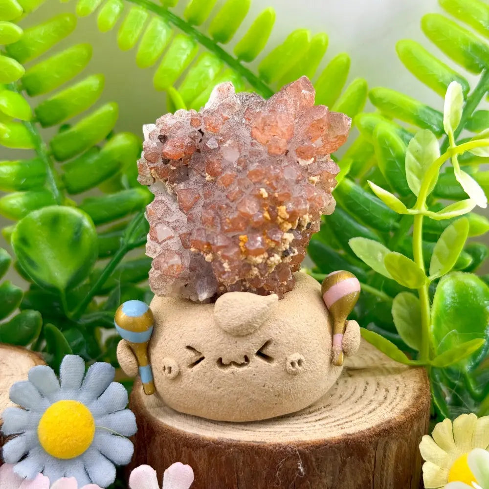 The Red Spirit of Inner Vitality Red Quartz Crystal Pet Shinepurity