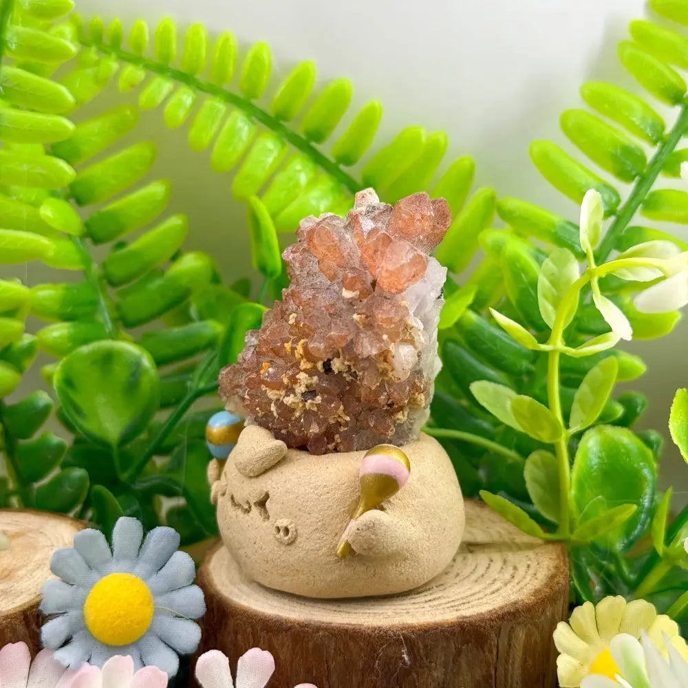 The Red Spirit of Inner Vitality Red Quartz Crystal Pet Shinepurity