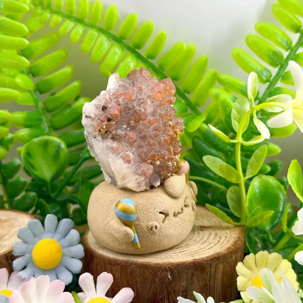 The Red Spirit of Inner Vitality Red Quartz Crystal Pet Shinepurity