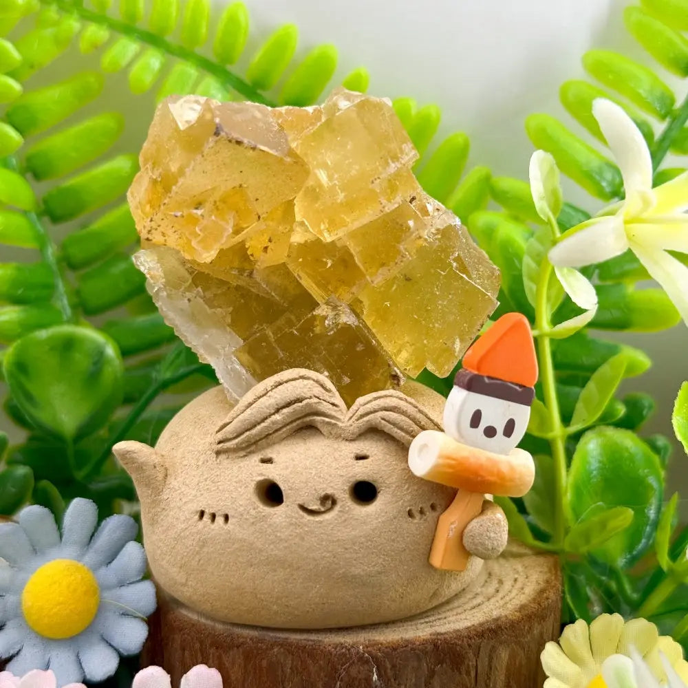 The Sunlit Spirit of Warm Energy Yellow Fluorite Crystal Pet Shinepurity