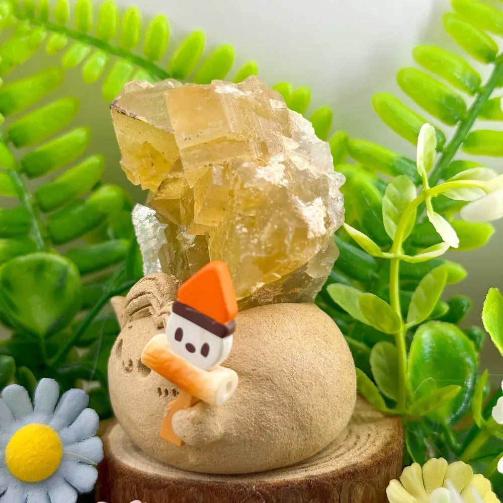 The Sunlit Spirit of Warm Energy Yellow Fluorite Crystal Pet Shinepurity