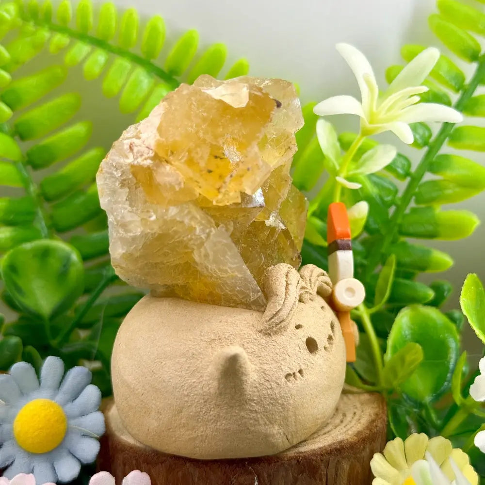 The Sunlit Spirit of Warm Energy Yellow Fluorite Crystal Pet Shinepurity