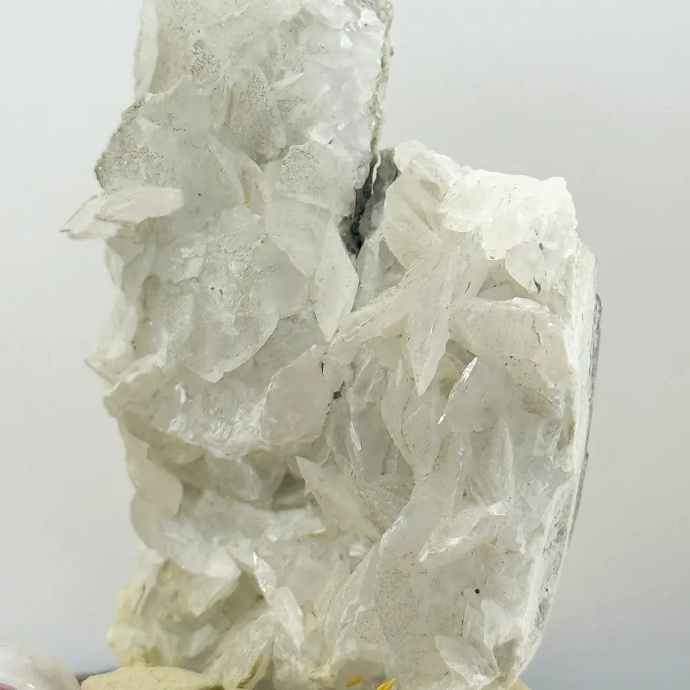The White Calcite Crystal Pet That Brings Peace and Clarity Shinepurity
