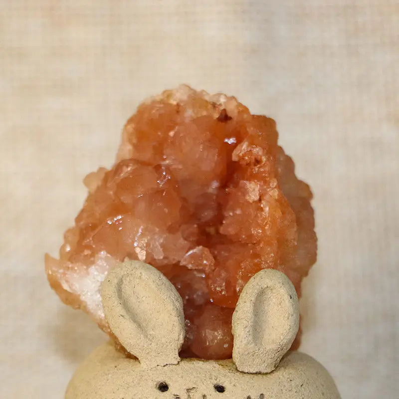 Warm-Hearted Guardian Orange Pink Crystal Pet Shinepurity