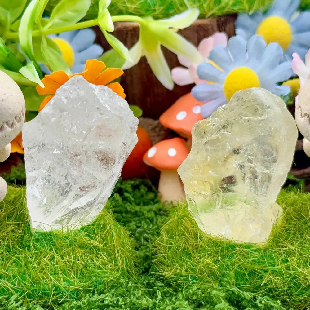 Customize | Bringer of Joyful Energy Dinosaur Crystal Pet Shinepurity