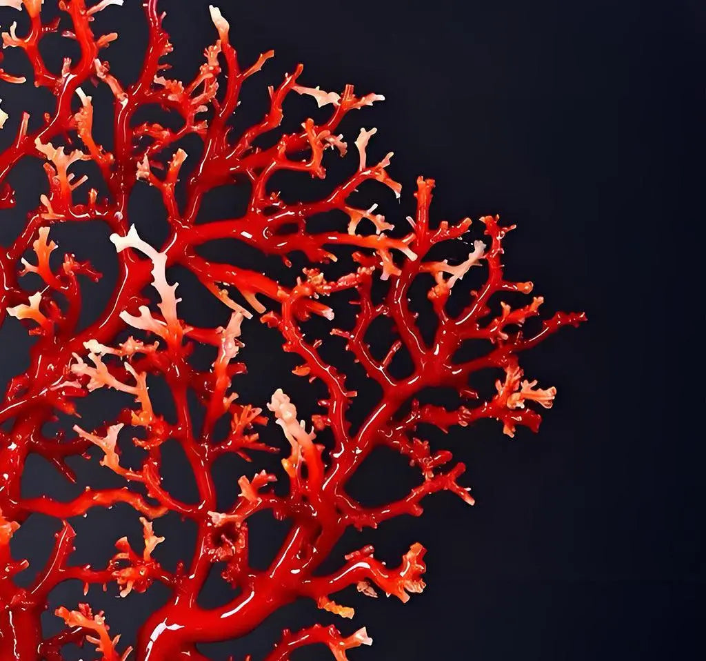 Red-Coral-The-Mysterious-Treasure-Born-from-the-Ocean Shinepurity