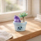 Crystal Succulent Smile Pot — Mini Handmade Desk Decor with Natural Crystal Shinepurity