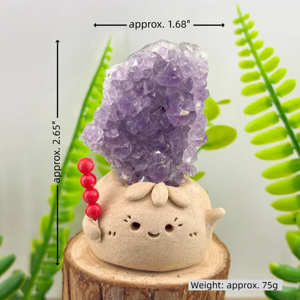 A Little Daily Joy  Handmade Crystal Pet Shinepurity