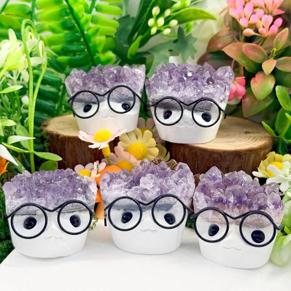 Adorable Glasses Kid Amethyst Crystal Pet Shinepurity