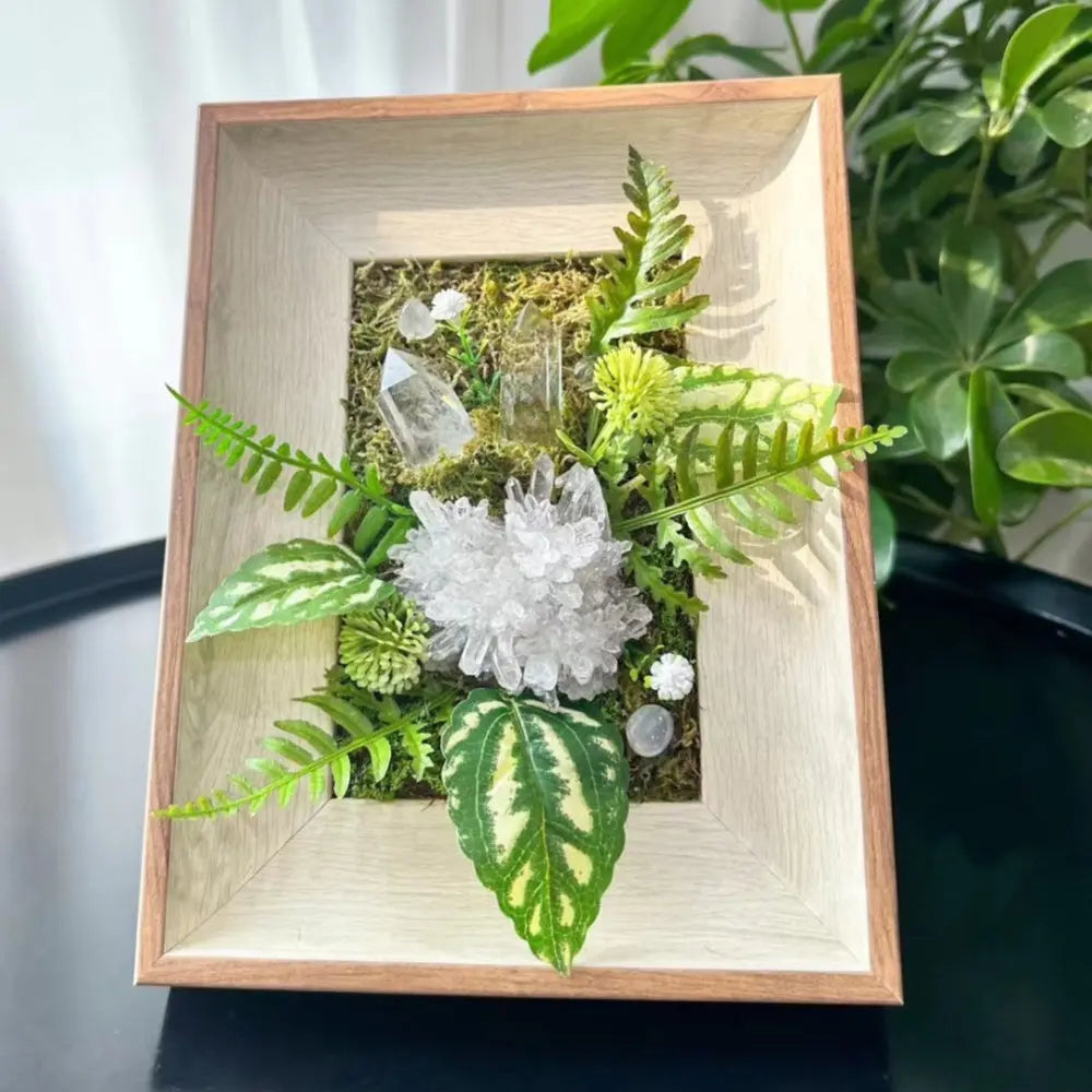 Designer Limited Edition | A Crystal Garden Hidden in the Forest Shinepurity