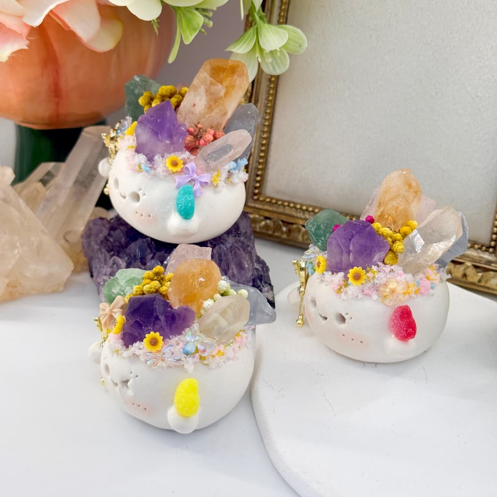 A Little Crystal Pet Holding Spring Shinepurity