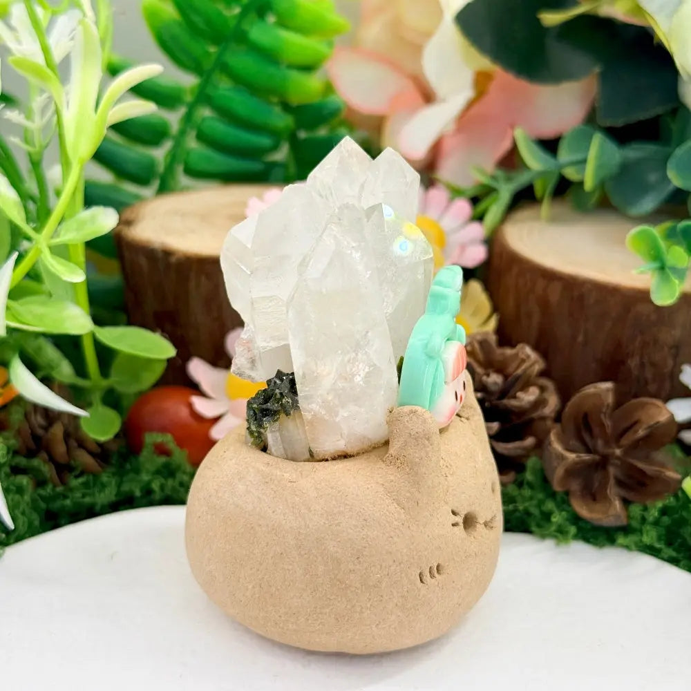 Aquarius Clear Quartz and Epidote Quartz Crystal Pet | Bringing Clarity and Purity to the Mind Shinepurity